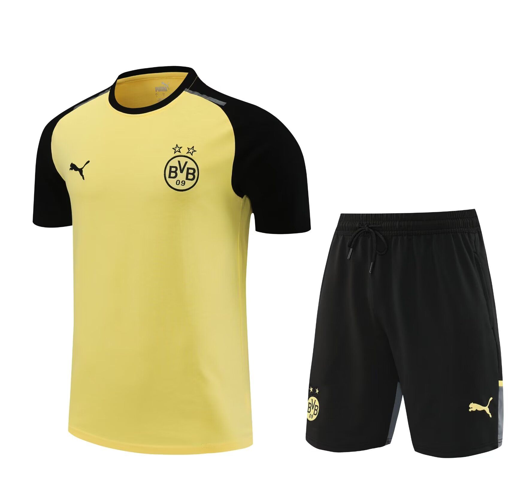 AAA Quality Dortmund 24/25 Yellow Training Kit Jerseys